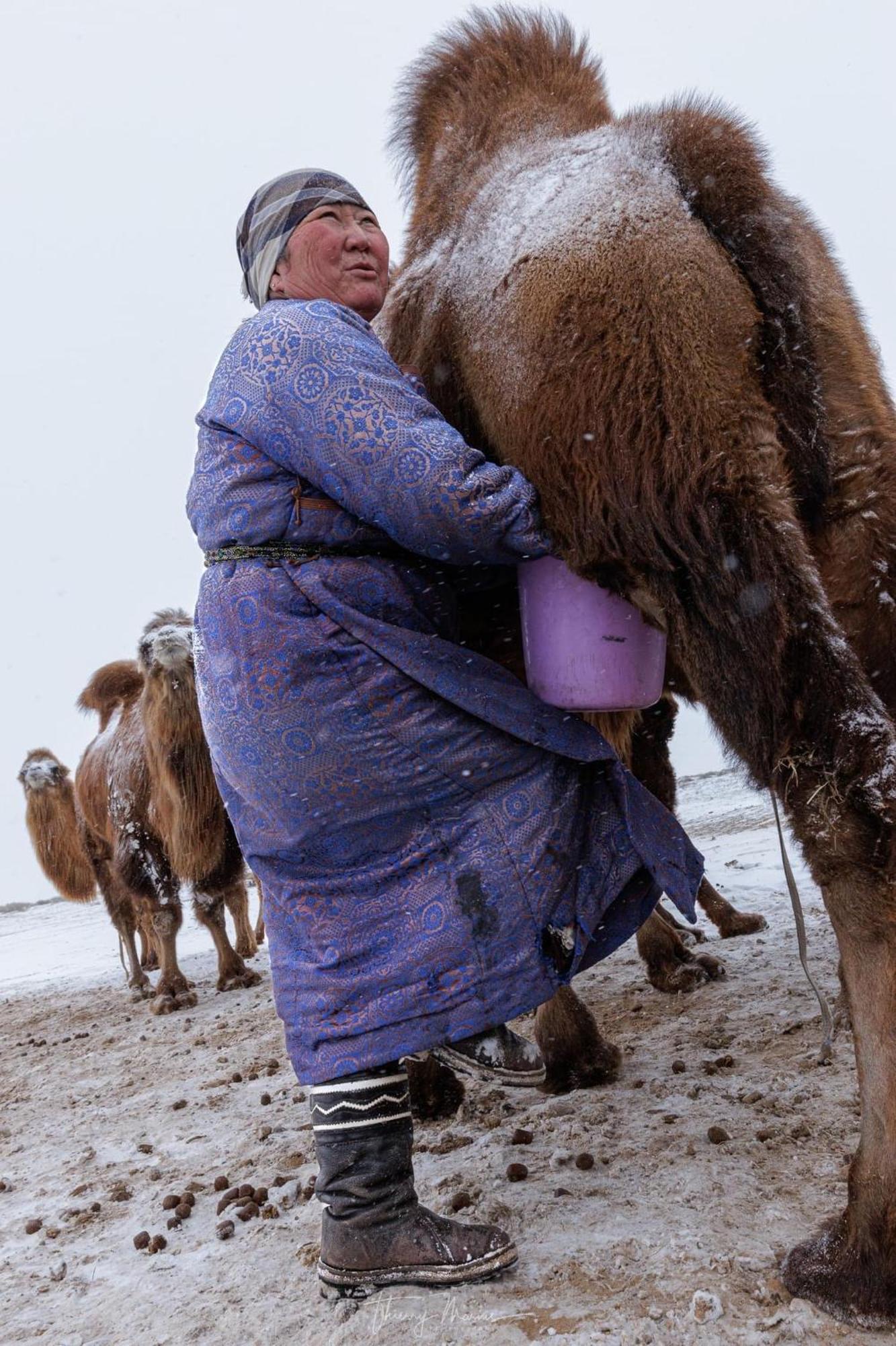 Gobi-Girl Hotel Ulánbátor Kültér fotó